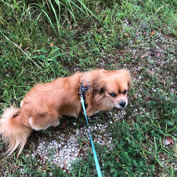 52483652 1d2a 4388 a456 c4a0fdbbf23d 1569105307564