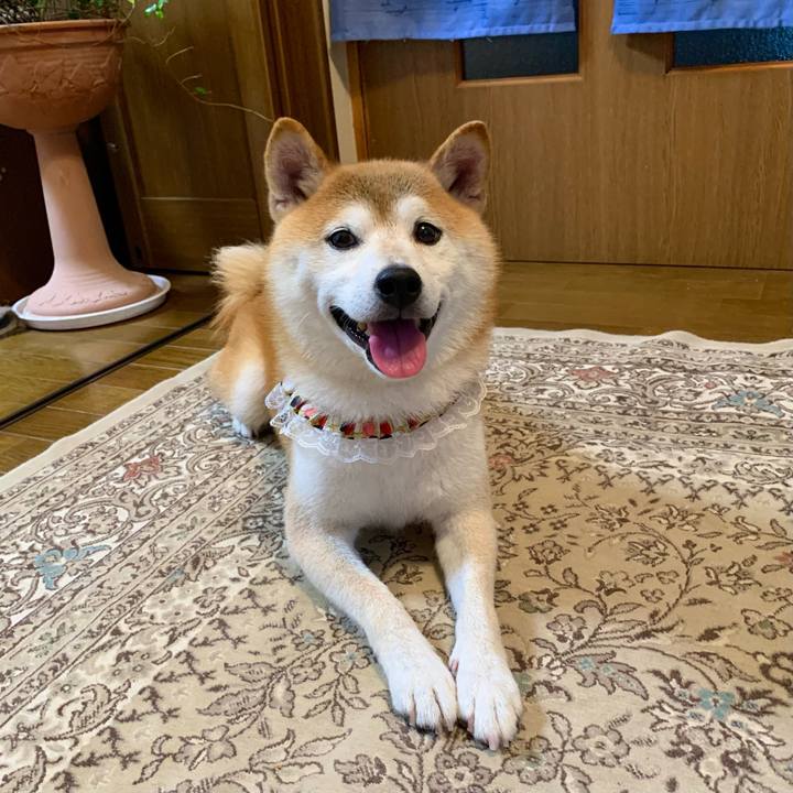 52486fb2 d1fe 4f4c 8566 1ad8825710ea 1662114891694