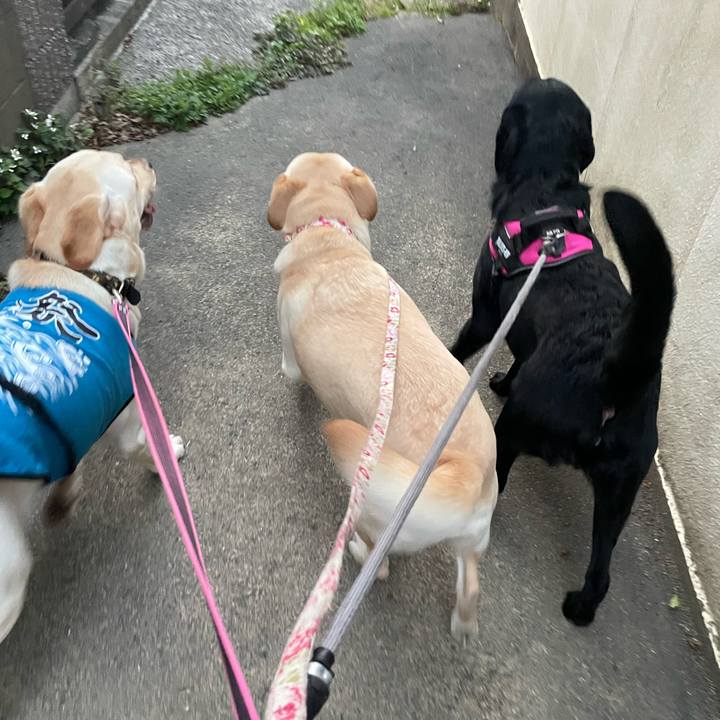 524889f4 28bf 48ba 9b6d 99281aee2fe8 1655422988889