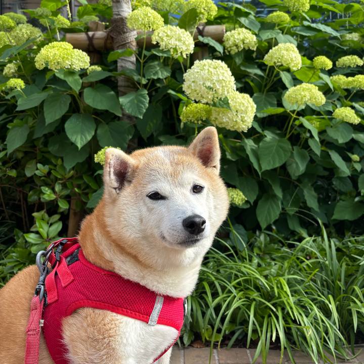 52489063 e09f 4edc 811a d1403082a7f7 1748808828659