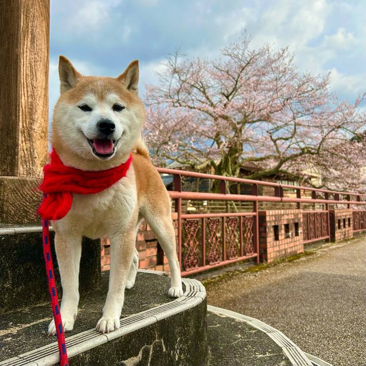 5248e02d d398 40b5 9a86 0165dd6d8816 1743849804902