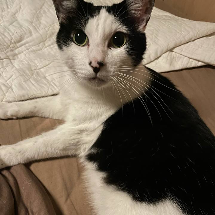 524910d6 eee2 4974 b919 4a805f802fea 1623348717226