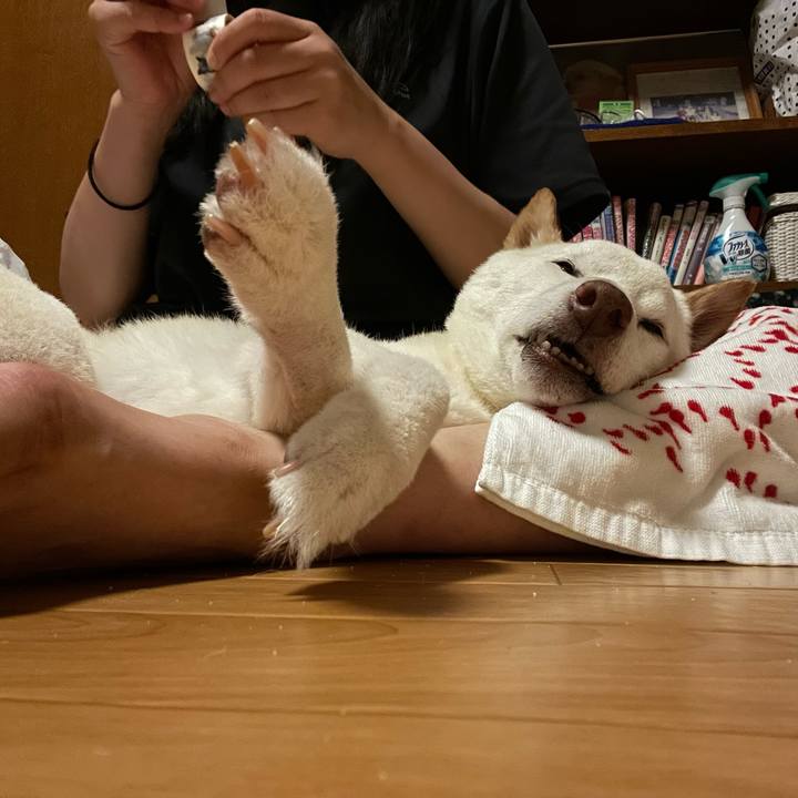 524915c2 331f 4192 8870 c7f0082a7310 1663438913323