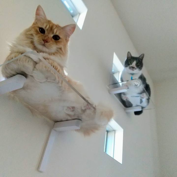 52493af3 d394 4c03 89d9 51827764c5da 1626599006277