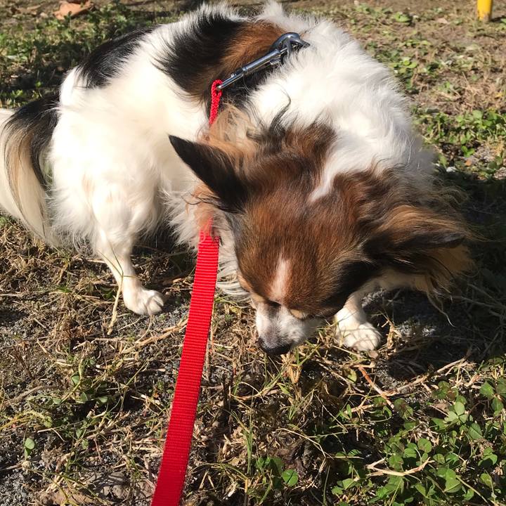 52493c26 e8af 4819 a2f0 be0c6e3c0c8e 1576119302993