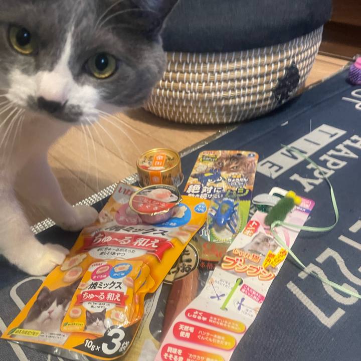 52496d42 e8d6 4404 94db b1165432f72f 1708581580882