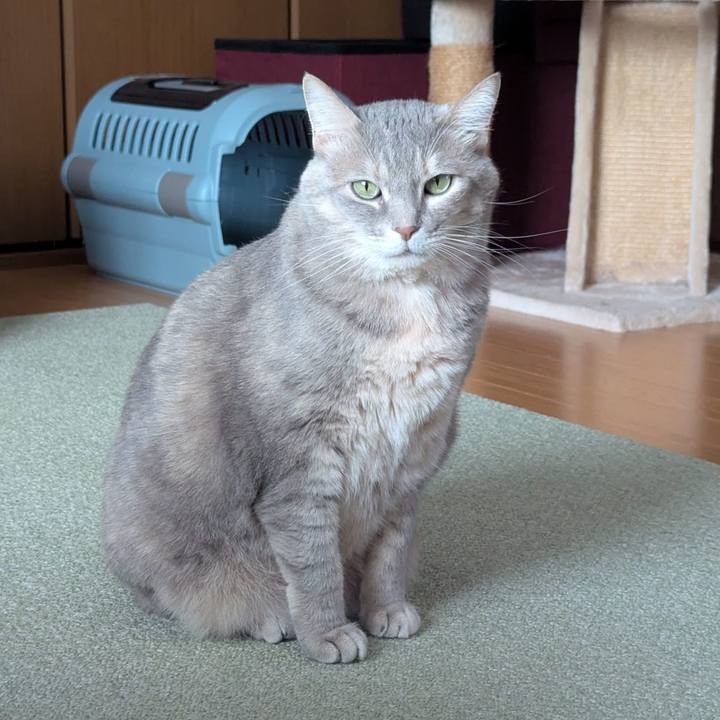 52498343 c651 4ace 962d 02ccc88c3e7d 1770851768848