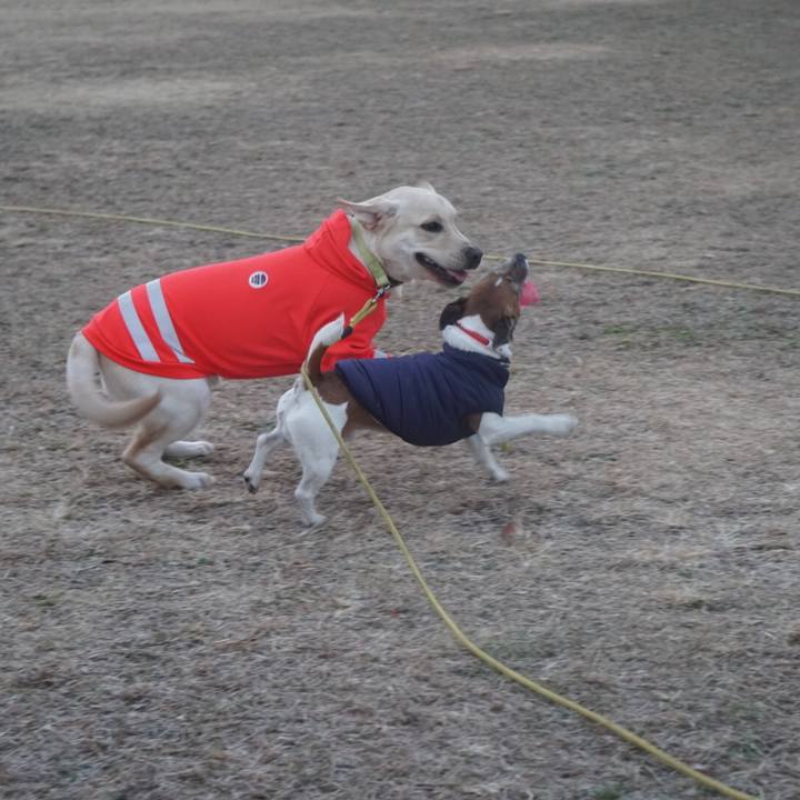 52499d0f d327 4eb3 8dd4 274ddf4ff319 1609975006169