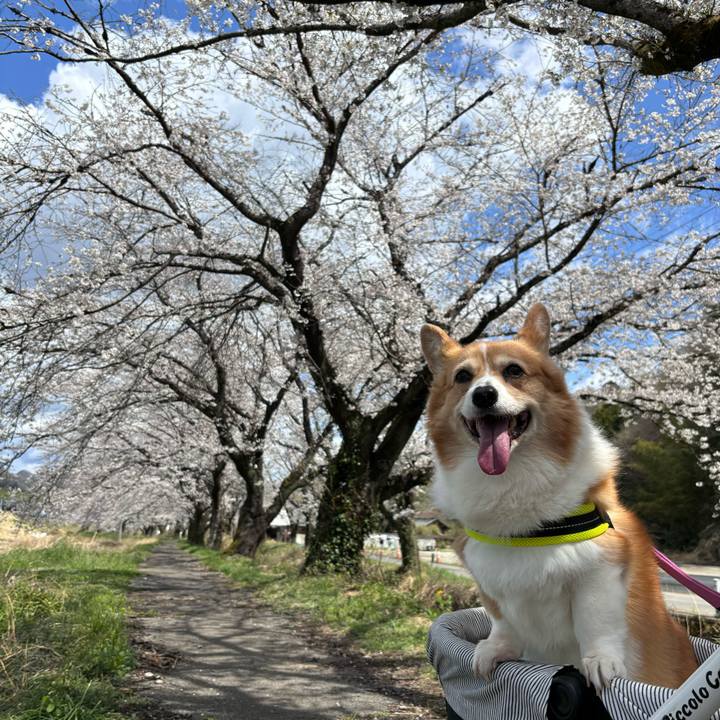 5249cf2a 1772 49a6 8f35 eec5ccb847db 1743745400270