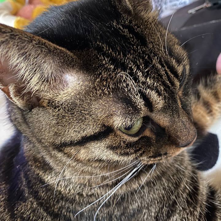 5249f322 c10f 407d 860b f74d5f440103 1592017422587