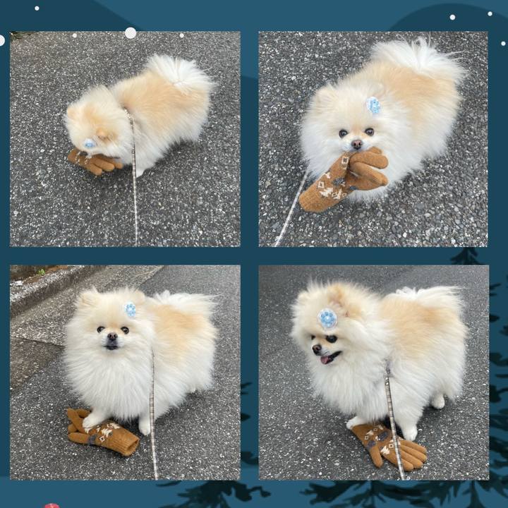 524a05bc 09da 41d2 8011 40c773356dc5 1700078751488