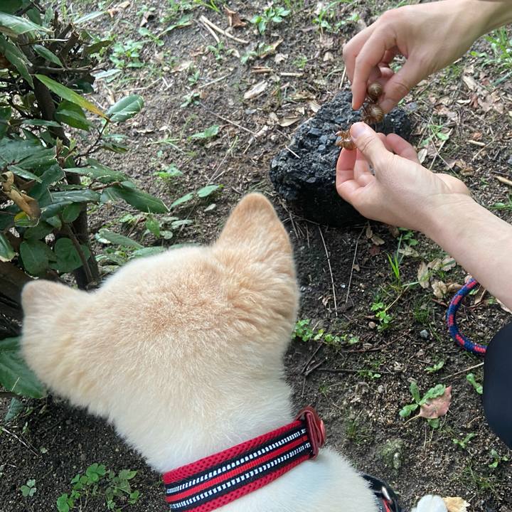 524a0fb4 c328 4015 955b 781e6abcdc5c 1721025704973