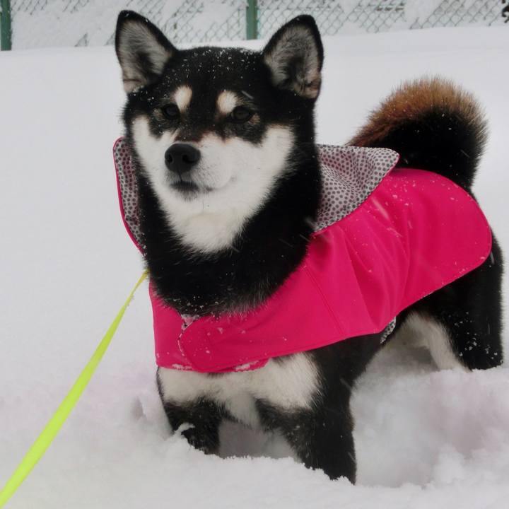 524a23f8 50b1 49ad 8e54 ac4de005ac09 1518311231012