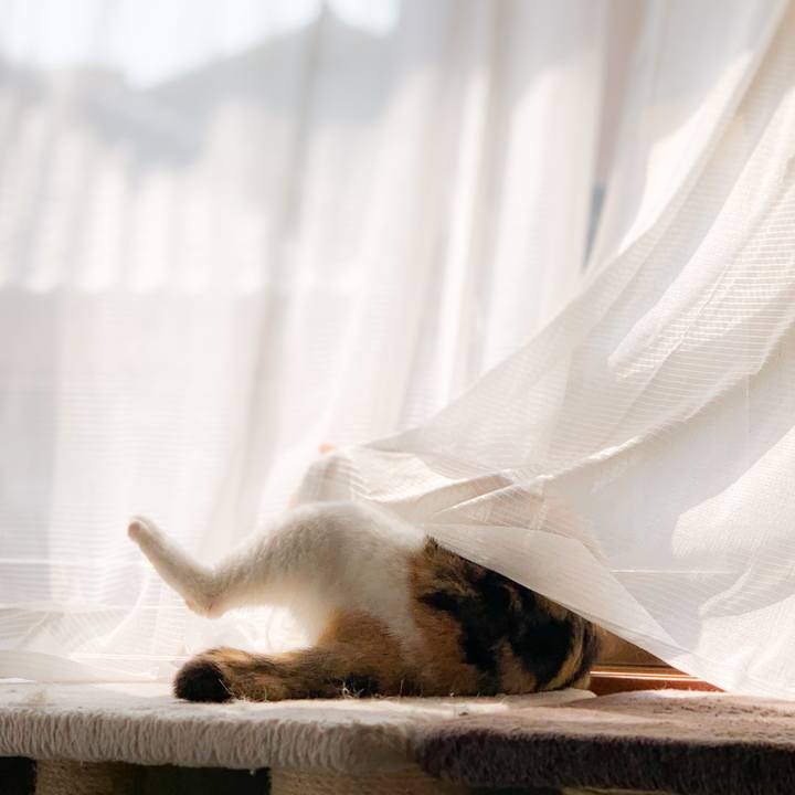 524a29b8 a9f3 44d0 b10a 9103b9743b24 1592360777848