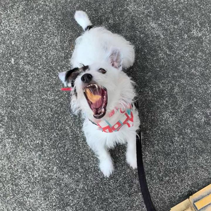 524a3294 724a 4681 93cd a4c55abb13f9 1661556887443