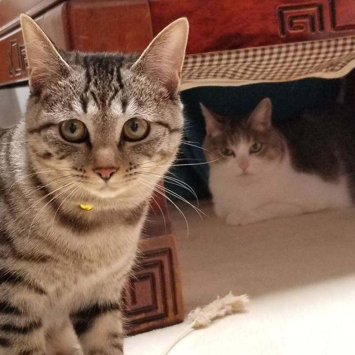 524a5b50 e474 4e20 a510 8b936452719d 1673963357546