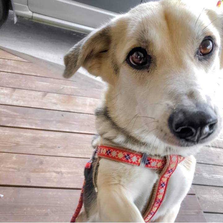 524a61f9 f504 4e7f 8d59 1a935821568d 1760613501938