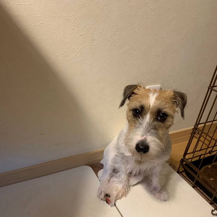 524a6cbd a7d0 47ef b12a 884d57213fc3 1599640671408