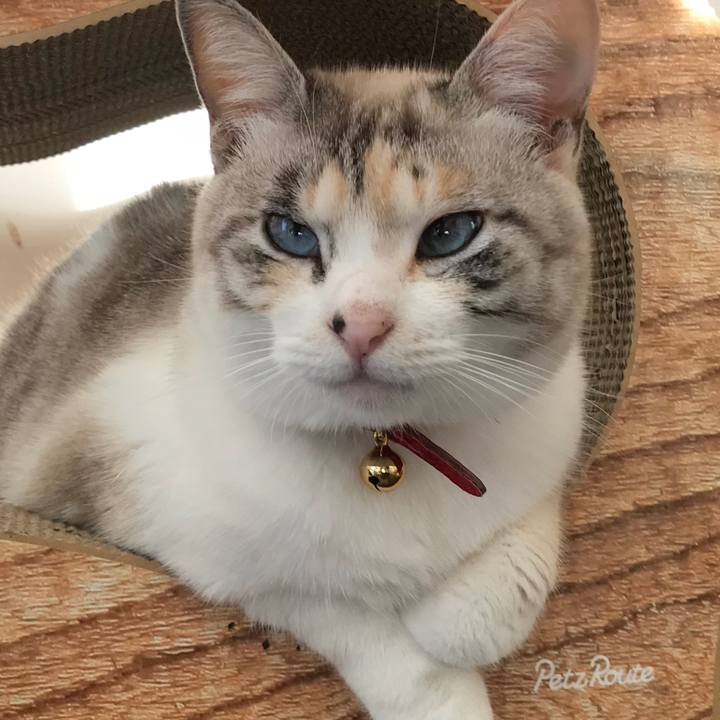 524aa2b2 09f2 4356 873f e0644309cec7 1515711764728