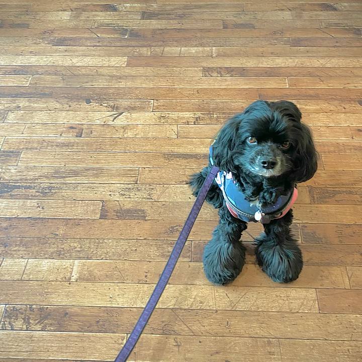 524ab688 ab1d 4485 aaca a0fca6f1d259 1648560374016