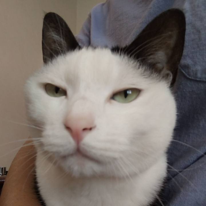 524ac048 fb85 4673 928b b271ca227fee 1588905416598