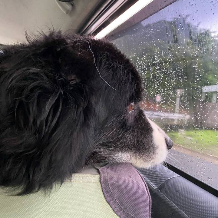 524acb43 7b3c 440d 842d 875cfbcee92a 1686002494991