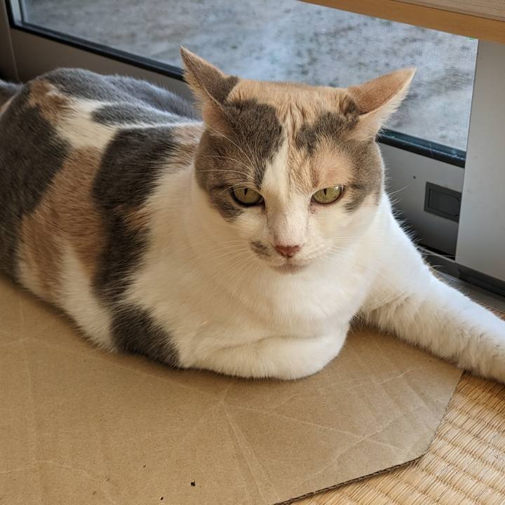 524b2a8d 11f4 43fe 9663 f5714caab548 1699768506486