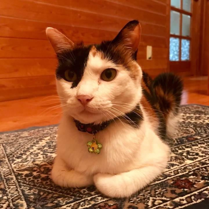 524b4fff 5b38 4ae6 98ff be48f798f4b7 1531834104659