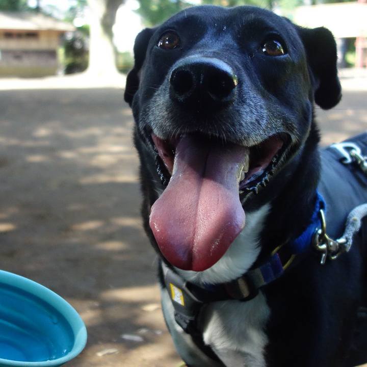 524b5489 be36 4057 95a8 0f5c6987479a 1653785222813