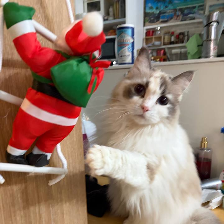 524bb472 5dc6 4b62 8b70 44269bf4bf23 1766707334638