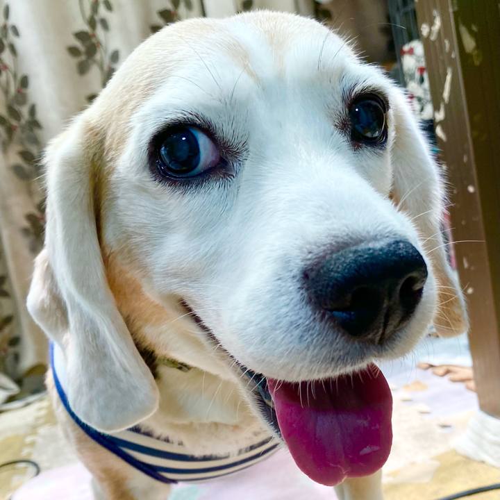 524bca99 a87d 4ce7 b8df 42f77b282474 1657079703707