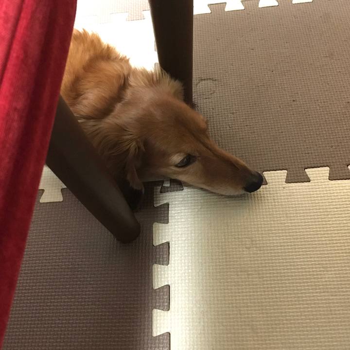 524bd73d b290 4ec1 bffa bc2e985e334b 1603457030509