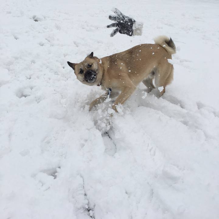 524be5d9 9852 4d10 bae0 2de45e1decc7 1518412434140