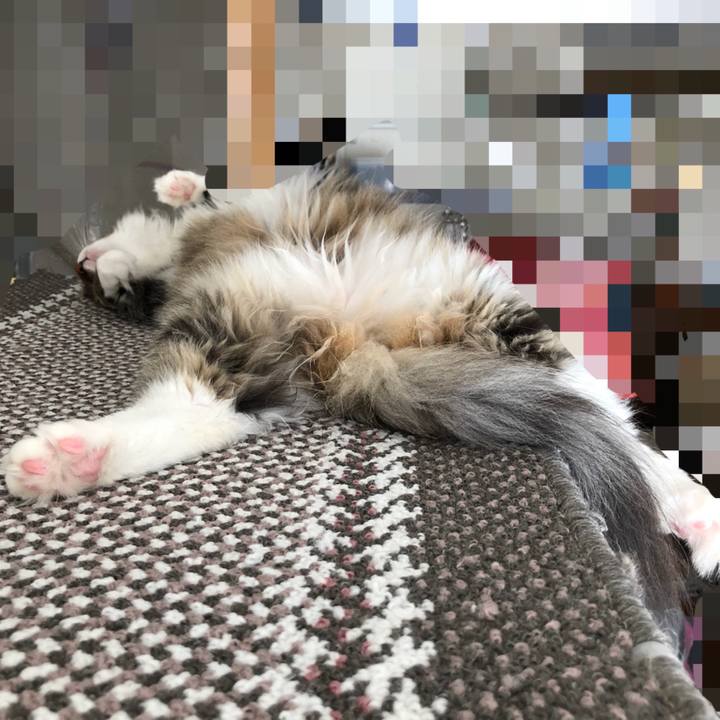 524be8d8 8166 40f5 889a 0040ff8242f6 1533348027820