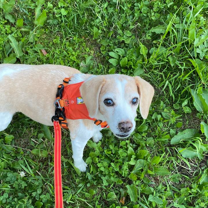 524c4290 e201 42bf 88ee 600a73b2b0ae 1624355292852