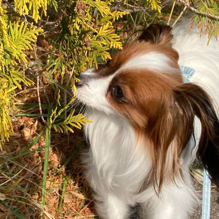 524c760a 849b 4cae 9f79 d4e53fd5b607 1638251420990