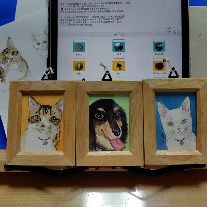 524c9f1b 1d59 46cf 8fa2 6248f37b66ed 1762170008681