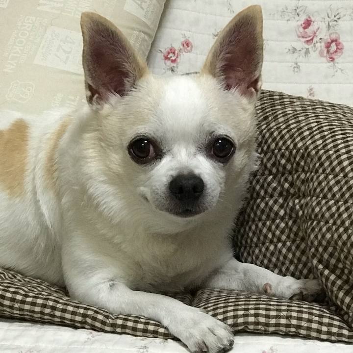 524cbb61 dd9a 4ef0 9d5b 10cc031c32eb 1539694940172