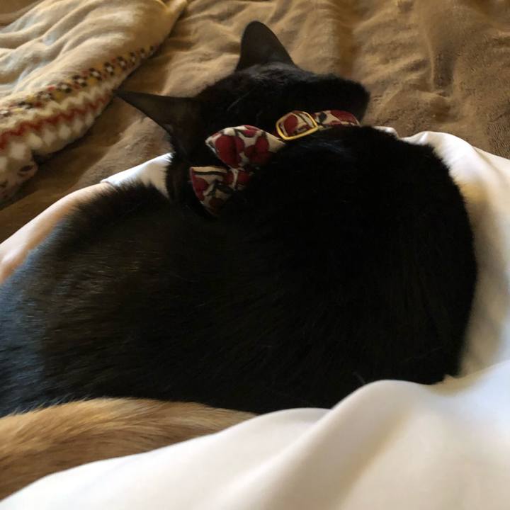 524cc558 1f7a 485f be36 43b374c1b93a 1577316218646