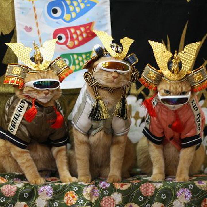 524d117e c9da 4221 99f4 46315f365d09 1588607159024