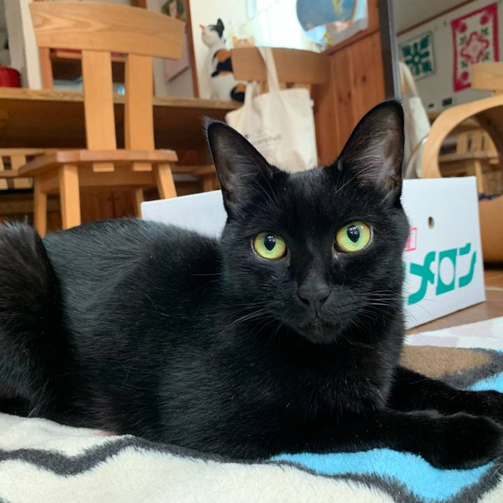 524d4eca 691b 4ff5 bc96 222ecbd3959f 1600757988685