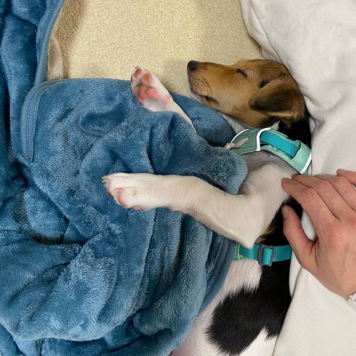 524d66ef 48f8 432e bcd9 8153da1965c8 1745931394991