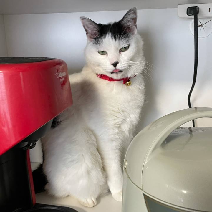 524d85b5 4185 4523 8ee7 ae6ebebd31eb 1609976072250