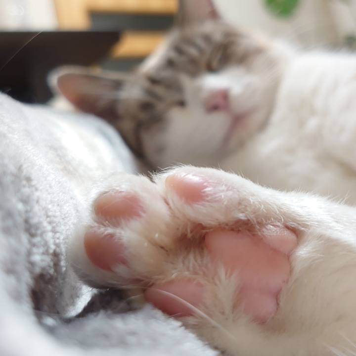 524d956e 2e94 43fc bbab 6ac586e8a025 1638880037626