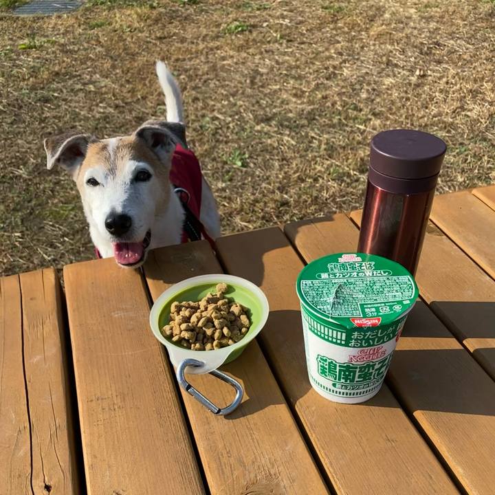 524dcd3a 5ff0 4367 8ea1 e5f3b02b9be9 1604798134851