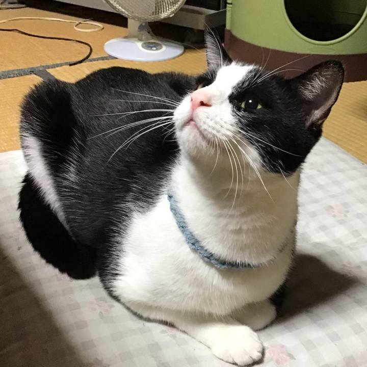 524dd006 89ab 4e26 9289 09a4f624259e 1663762740896