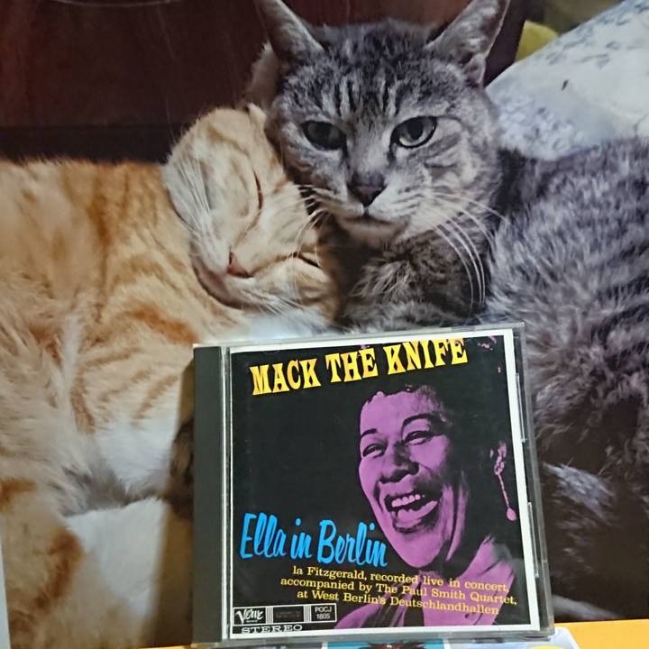 524dd96d 0d53 4934 9a23 53d52ec3d997 1614685455356