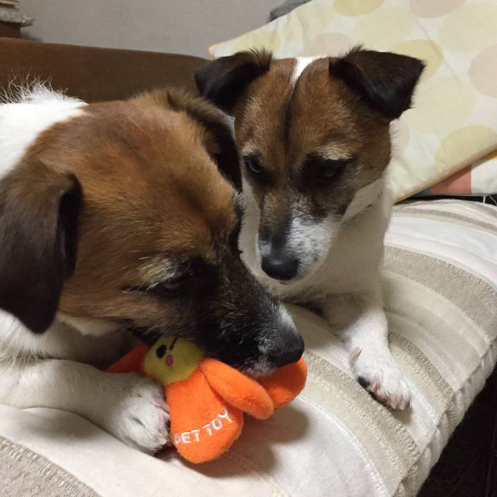 524df912 53e4 459e b058 73aa2bf38f8e 1552999965534