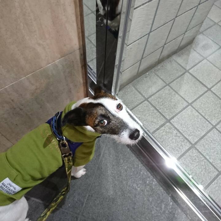 524e1547 ec72 41e7 9a59 01f209faa35e 1516918013189