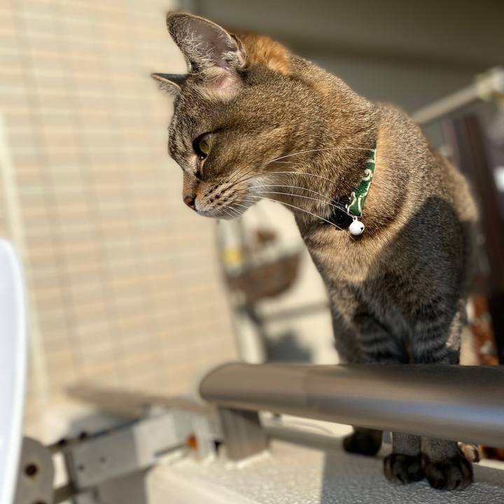 524e3634 7a8e 4974 be49 e615f1f63d3b 1641173835955